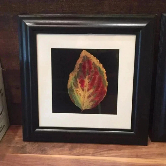 Wall Pictures-2 - Picture 2 of 8